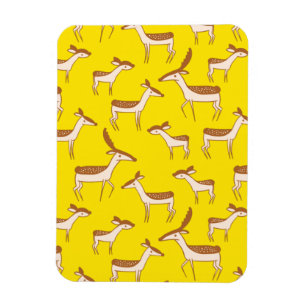 Íman Beijo e família lindos