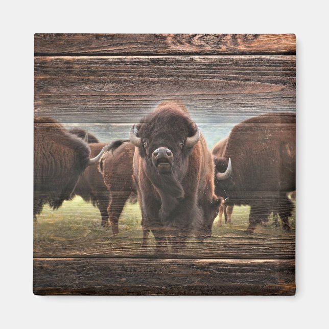 Íman Bela Búfalo Herd (Frente)