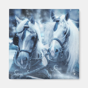 Íman Bela Equipe de Cavalos Foto de Inverno