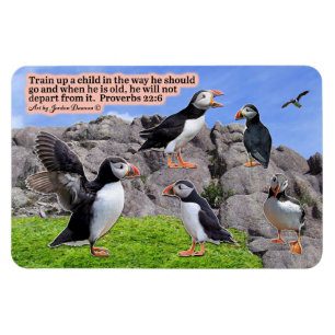 Íman Bela Escritura de Puffin Proverbs de Imagem 22:6