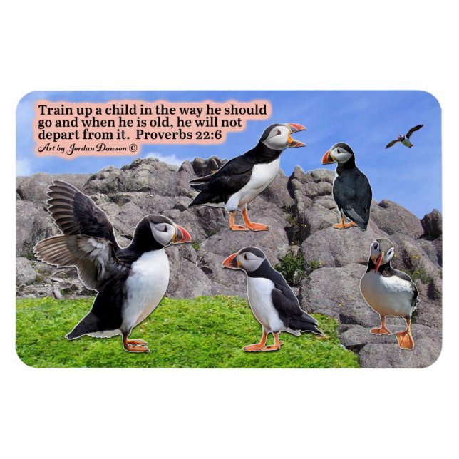 Íman Bela Escritura de Puffin Proverbs de Imagem 22:6 (Horizontal)