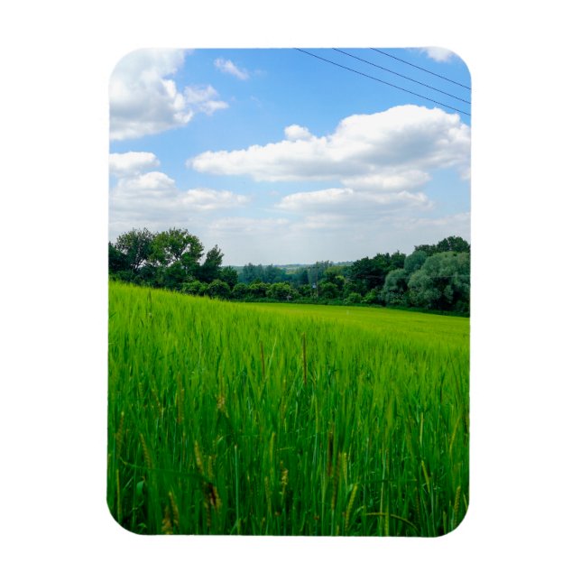 Íman Bela paisagem (Vertical)