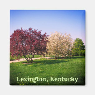 Íman Bela Paisagem e Árvores de Kentucky