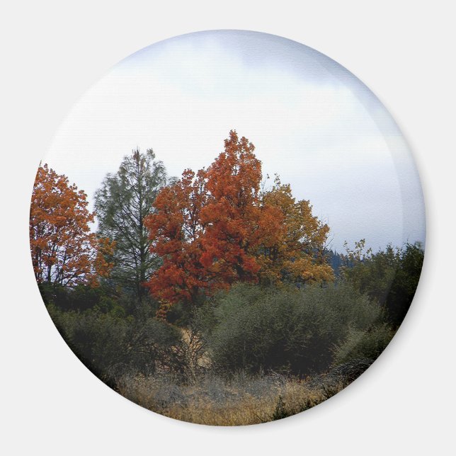 Íman Bela queda.... (Frente)