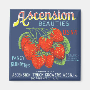 Íman Belas Ascensão Morangos Magnet