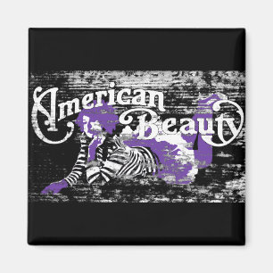 Íman beleza americana