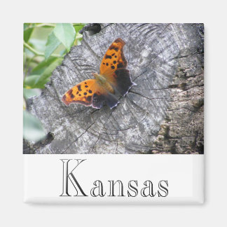 Íman Beleza Batelada