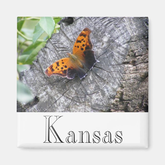 Íman Beleza Batelada (Frente)