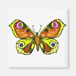 Íman Beleza Colorida 5