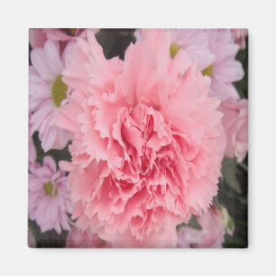 Íman Beleza da Cravagem Rosa Magnet