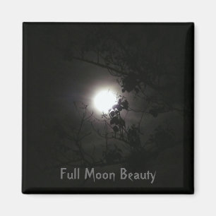 Íman Beleza da Lua cheia