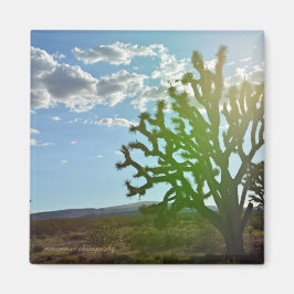 Íman Beleza do Deserto