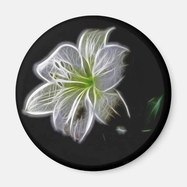 Íman Beleza natural da flor branca (Frente)