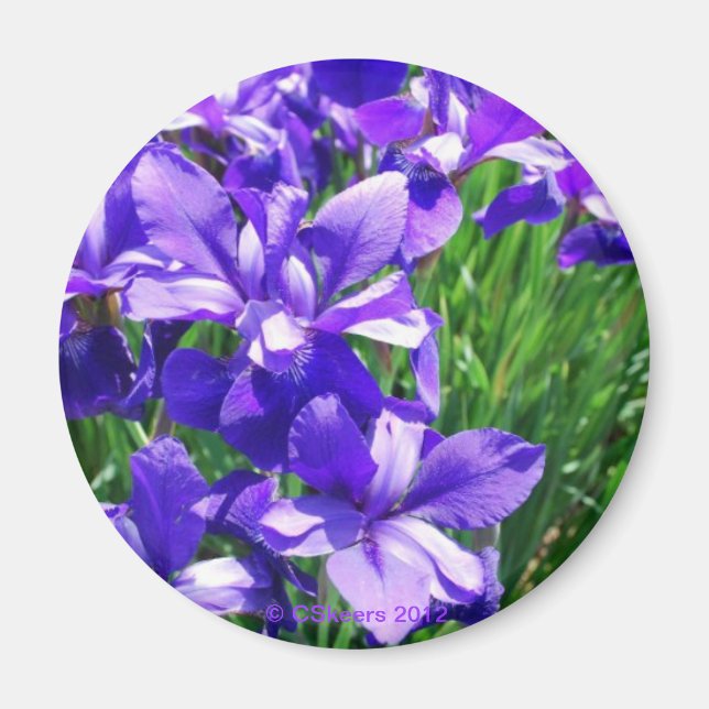 Íman Beleza Roxa (Frente)