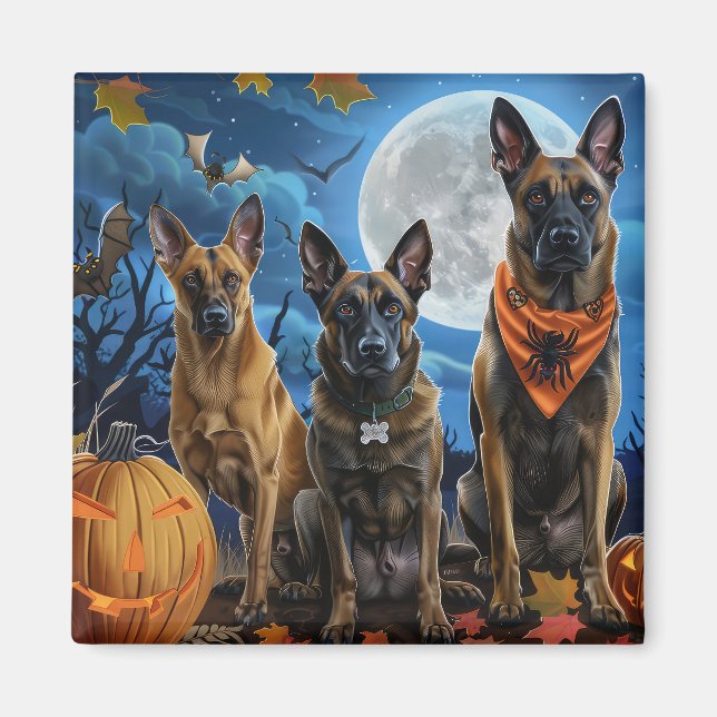 Íman Belga Malinoi Halloween Spooky (Frente)