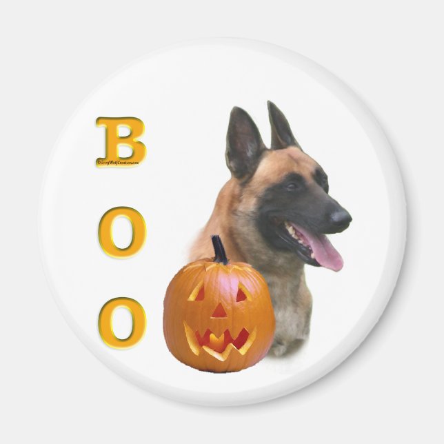Íman Belga Malinois Boo (Frente)