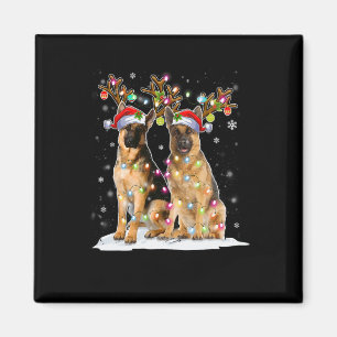 Íman Belga Malinois Reindeer Hat Papais noeis