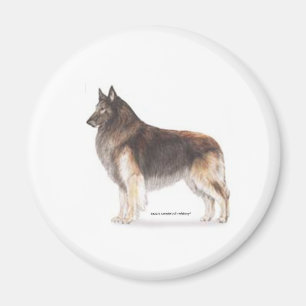 Íman Belga Tervuren