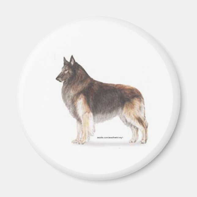 Íman Belga Tervuren (Frente)