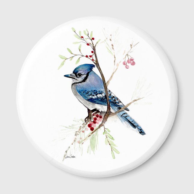 Íman Belíssima Aquarela de um Azulão (Beautiful Blue Jay Watercolor Magnet by Jenn Steffen Art.)