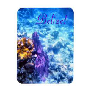 Íman Belize! Ímã roxo do prêmio do fã de mar