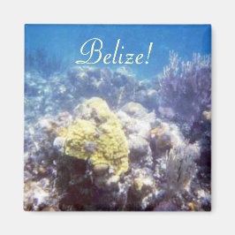 Íman Belize! Magneta de recife de coral