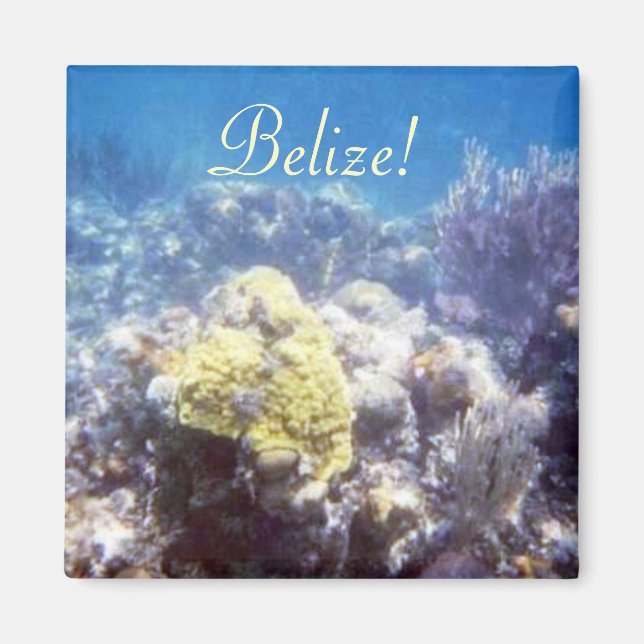 Íman Belize! Magneta de recife de coral (Frente)