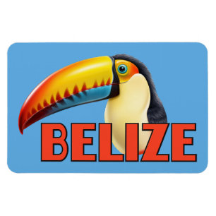 Íman BELIZE Toucan