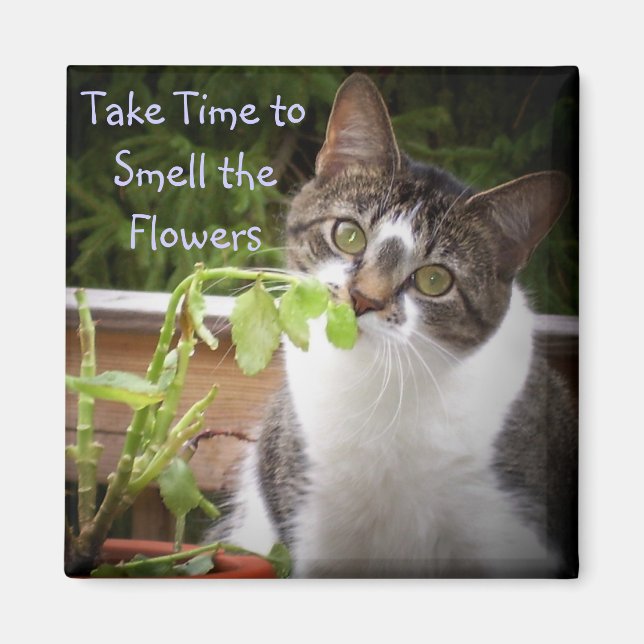 ÍMAN "BELLA" (Frente)