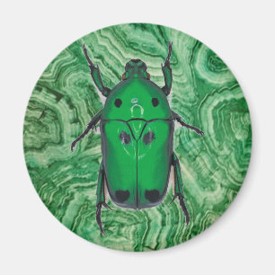 Íman Belo Besouro Verde No Malachite