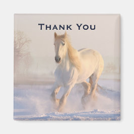 Íman Belo Cavalo Branco na Foto da Neve Obrigado