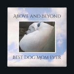 Íman Belo Céu Nublado Melhor Cachorro Mãe Calma Azul<br><div class="desc">Este belo ímã mostra uma foto de um céu nublado pacífico junto com Olive,  uma adorável mistura de Labrador. presente de excelente para amantes de cães.</div>
