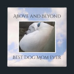 Íman Belo Céu Nublado Melhor Cachorro Mãe Calma Azul<br><div class="desc">Este belo ímã mostra uma foto de um céu nublado pacífico junto com Olive,  uma adorável mistura de Labrador. presente de excelente para amantes de cães.</div>