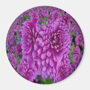 Íman Belo Dahlias.......
