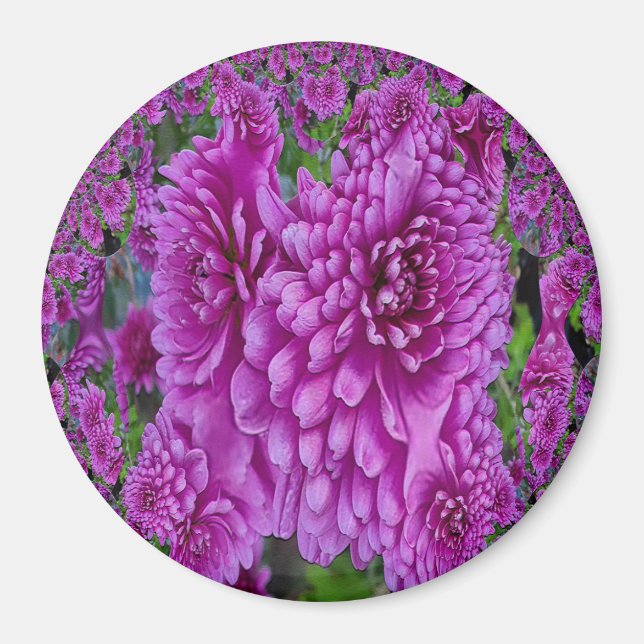 Íman Belo Dahlias....... (Frente)