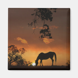 Íman Belo Dia do Sol com Cavalo