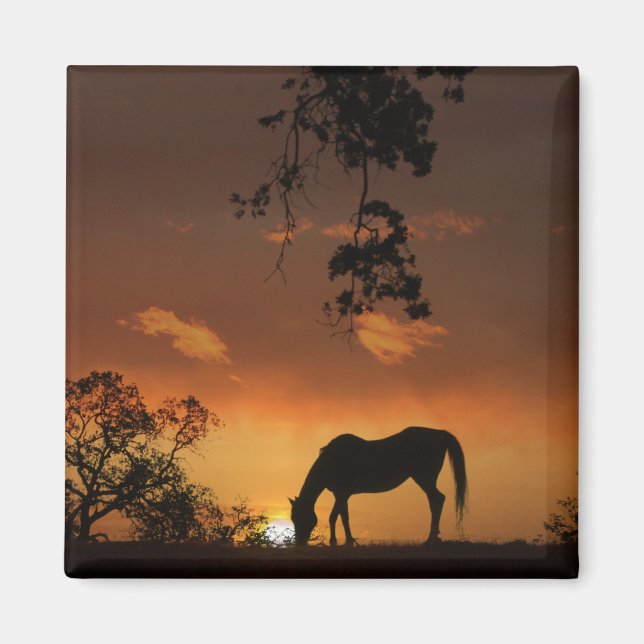 Íman Belo Dia do Sol com Cavalo (Frente)