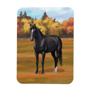 Íman Belo Estalão de Cavalo do Quarto Negro