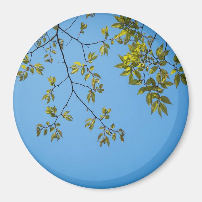 Íman belo galho com abraço verde e amarelo (Frente)