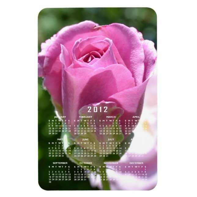 Íman Belo Magnet de Calendário de Rosa Bud (Vertical)