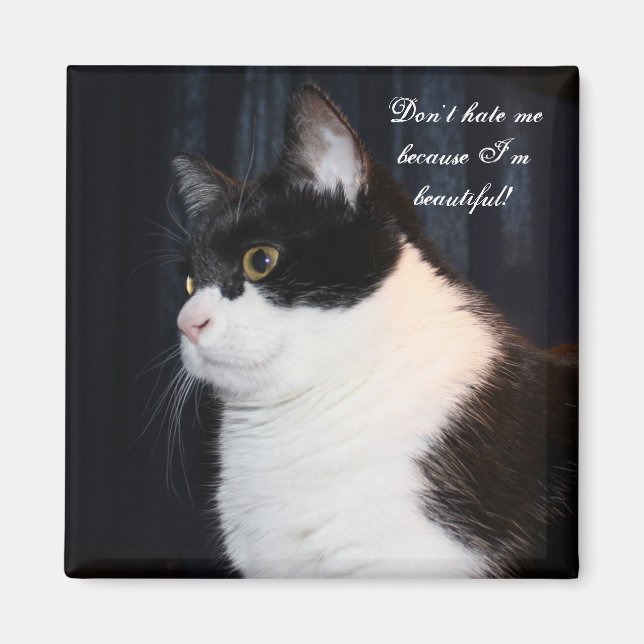 Íman Belo Magneto De Gato (Frente)