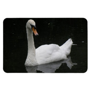 Íman Belo Magneto Premium Swan Branco