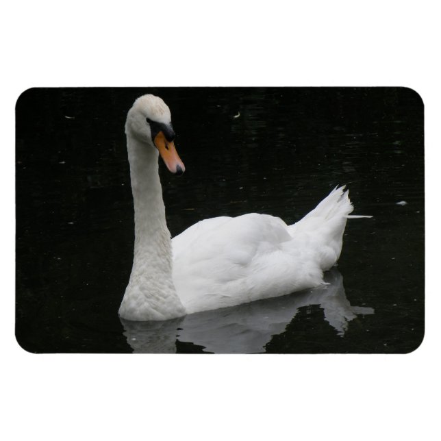 Íman Belo Magneto Premium Swan Branco (Horizontal)