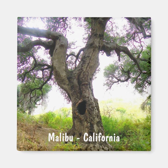 Íman Belo Malibu Magnet! (Frente)