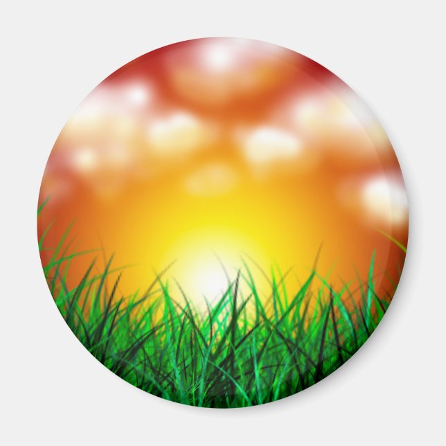 Íman Belo nascer do sol sobre um campo de grama (Frente)