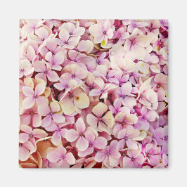 Íman Belos Flores de Hydrangea