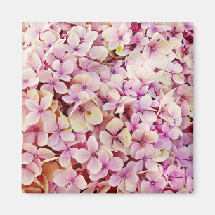 Íman Belos Flores de Hydrangea