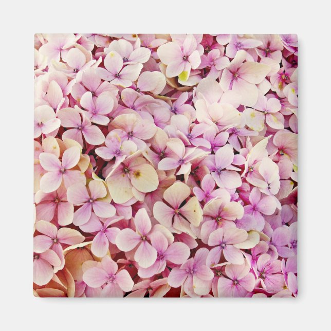 Íman Belos Flores de Hydrangea (Frente)