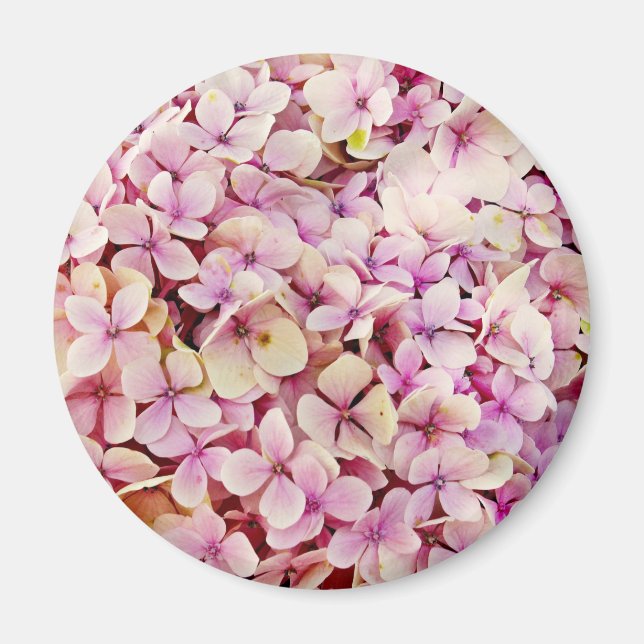 Íman Belos Flores de Hydrangea (Frente)