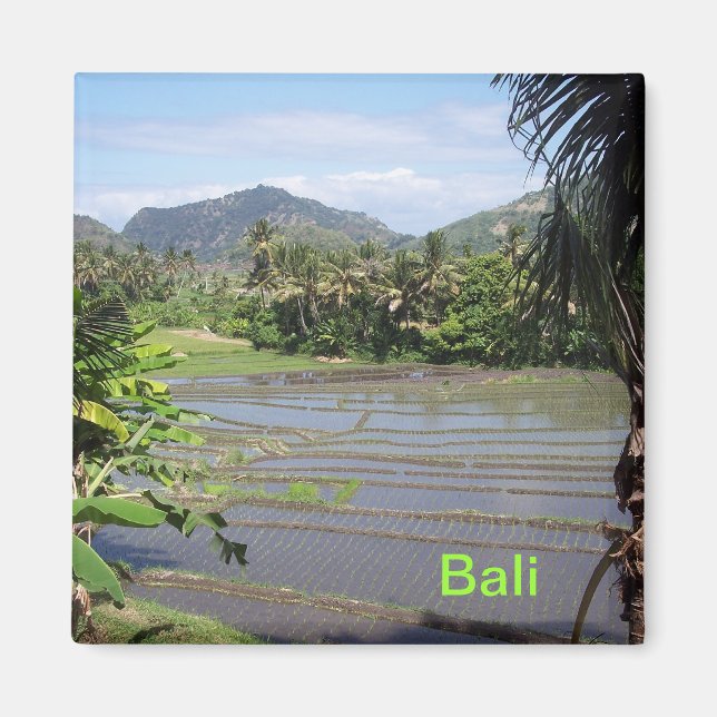 Íman Belos polos de arroz Bali (Frente)
